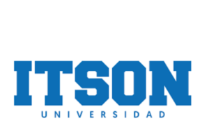 IT-SON