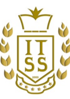 IT-SS